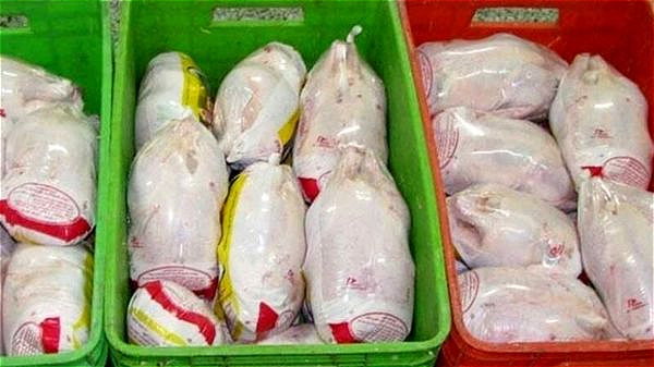 آغاز خرید تضمینی مرغ در آذربایجان غربی 