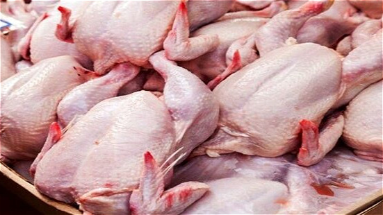 جهاد کشاورزی برنامه تنظیم بازار مرغ را در ۲۴ ساعت آینده ارائه کند