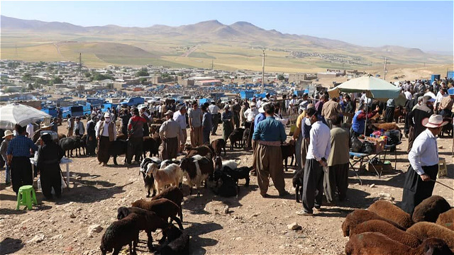 سه کانون تب‌برفکی در مهاباد شناسایی شد