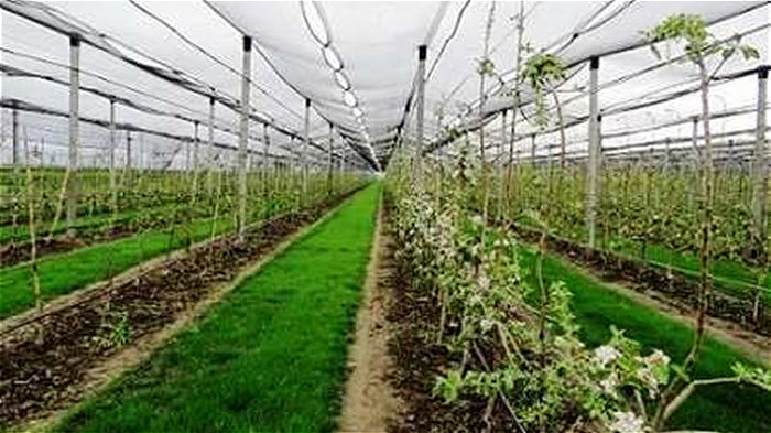 فعالیت 8 شهرک کشاورزی درآذربایجان غربی