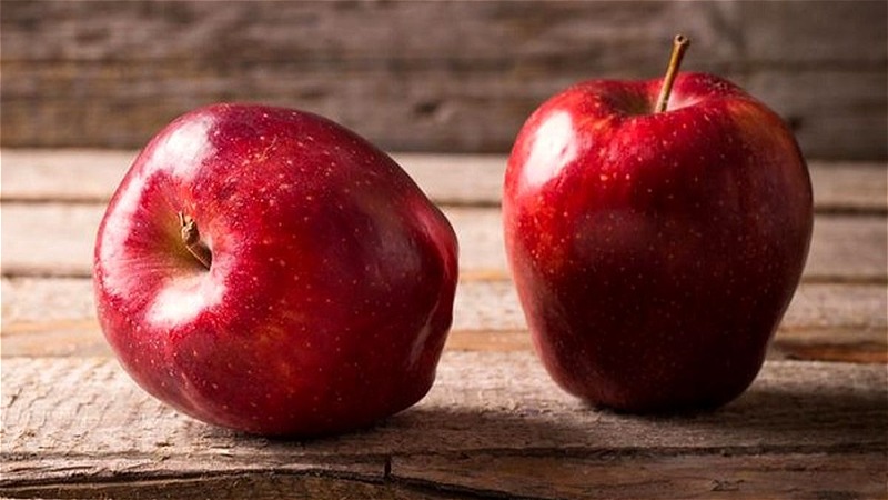 ۶۵هزار تن سیب درختی از آذربایجان غربی صادر شد 