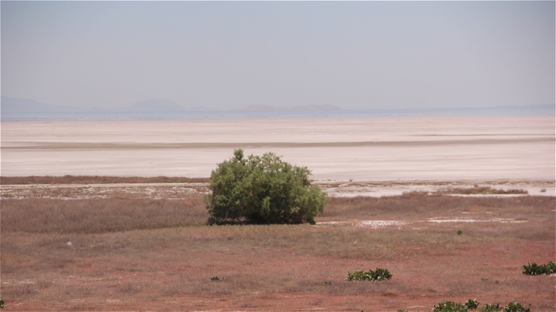 کاهش ۶۱سانتی متری تراز دریاچه ارومیه