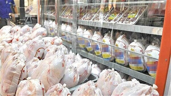 کمبود گوشت مرغ در آذربایجان غربی نخواهیم داشت
