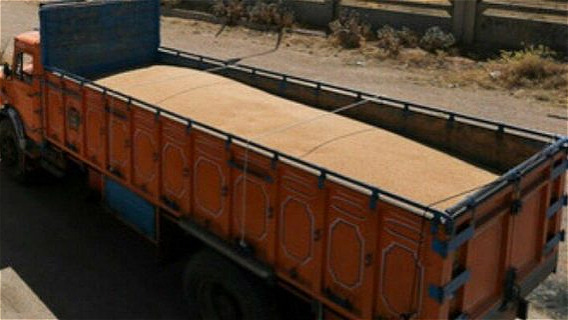 ۱۵۹ تن گندم احتکار شده در شهرستان شوط کشف شد 