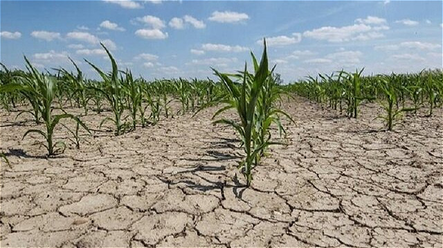 ۵۶ درصد از مساحت آذربایجان غربی دچار خشکسالی بسیار شدید است