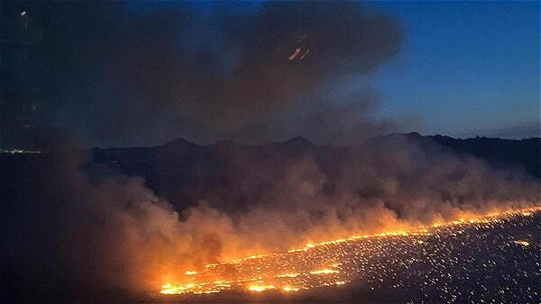 آتش ۵ هکتار از جنگل‌های سردشت را نابود کرد