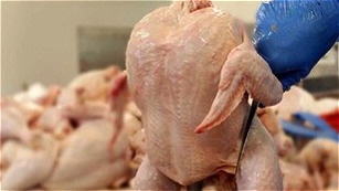 کمبود مرغ در آذربایجان‌غربی تا ۱۰ روز برطرف می‌شود