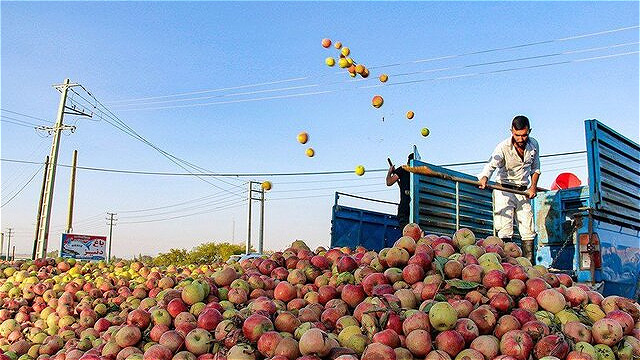 برخورد با متخلفان انباشت سیب در محورهای آذربایجان غربی