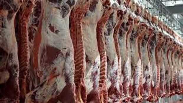 مشکلی در تولید گوشت قرمز وجود ندارد